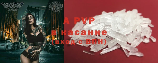 прущие грибы Армянск