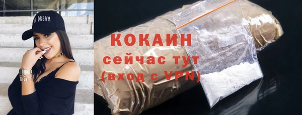 прущие грибы Армянск