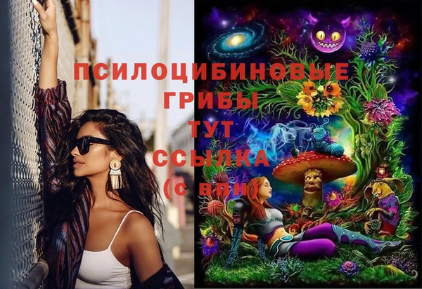 ECSTASY Аркадак