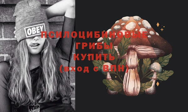 прущие грибы Армянск